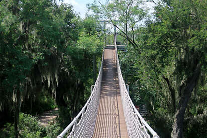 Santa-Ana-National-wildlife-Refuge-McAllen-TX - Lowest Flight Fares Santa Ana National wildlife Refuge