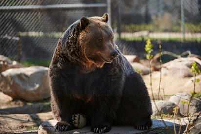 Saskatoon Forestry Farm Park Zoo