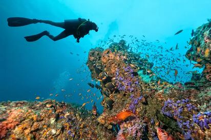 Scuba Diving Maldives