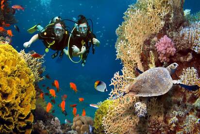 Snorkeling Maldives