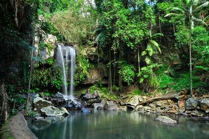 Tamborine Mountain