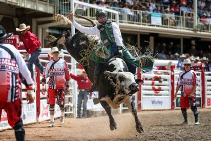 The Calgary Stampede