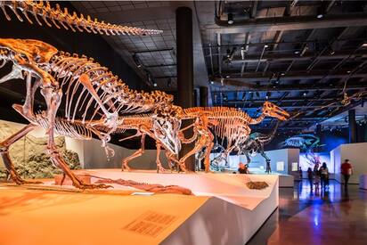 The Houston Museum of Natural Science