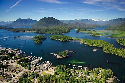 Tofino