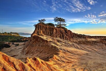 Torrey Pines State Natural Reserve