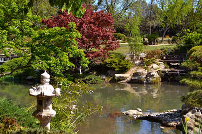 Woodward-Regional-Park-Fresno - Lowest Flight Fares Woodward Regional Park