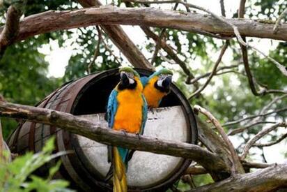 Zoológico de Emperor Valley