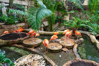 Acuario Mundial de Dallas - Lowest Flight Fares Acuario Mundial de Dallas