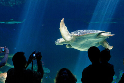 Acuario de Vancouver - Lowest Flight Fares Acuario de Vancouver