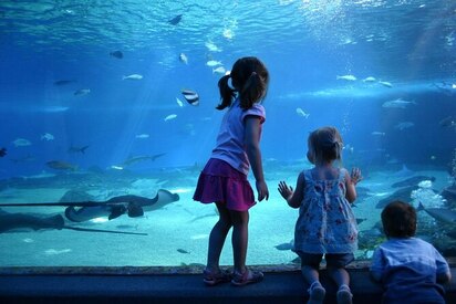 Acuario del Pacífico