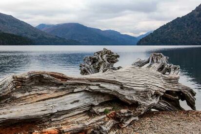 Bariloche and the Route of the Seven Lakes