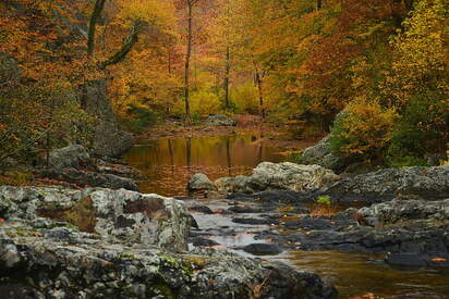 Bosque Nacional Ouachita