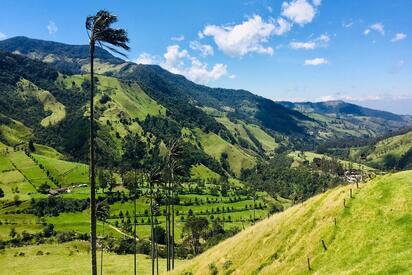 Bosques de Cocora