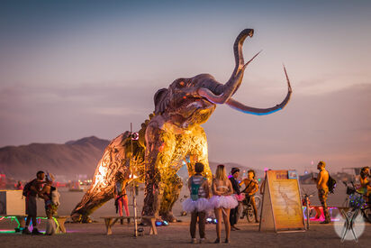 Burning Man Festival