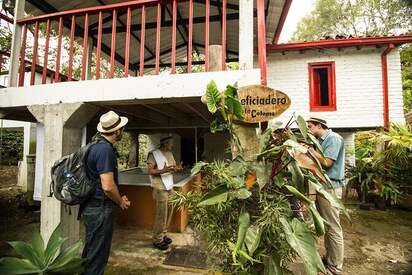 Coffee Tour