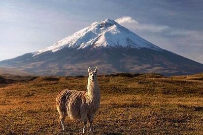 Cotopaxi National Park