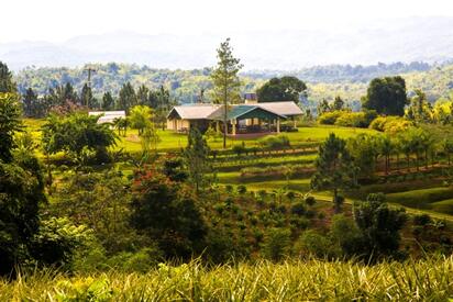 Croydon Plantation