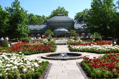 El Jardín de Palmeras de Fráncfort del Meno Fráncfort