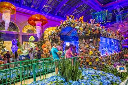 El jardín botánico y el conservatorio de Bellagio las vegas - Lowest Flight Fares El jardín botánico y el conservatorio de Bellagio las vegas