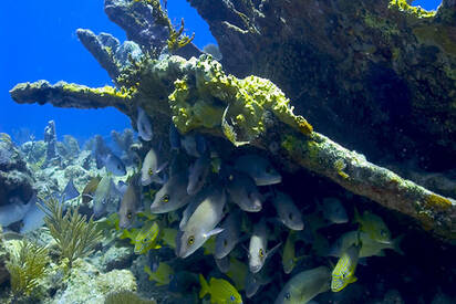 Florida Keys National Marine Sanctuary