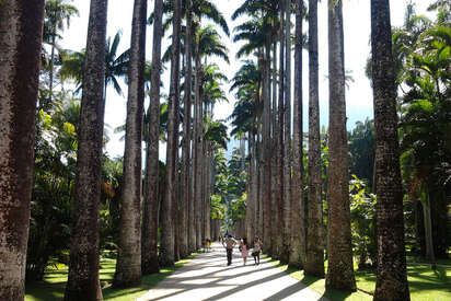 Jardim Botânico