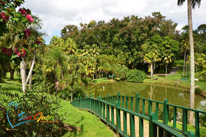 Jardin-Botanico-San-Juan - Lowest Flight Fares Jardín Botánico