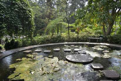 Jardín Botánico de Plan de La Laguna San Salvador - Lowest Flight Fares Jardín Botánico de Plan de La Laguna San Salvador