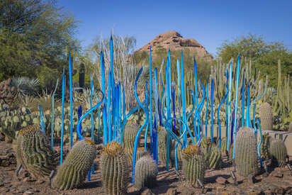 Jardín Botánico del Desierto