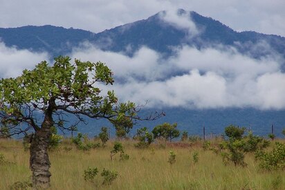 Kanuku Mountains