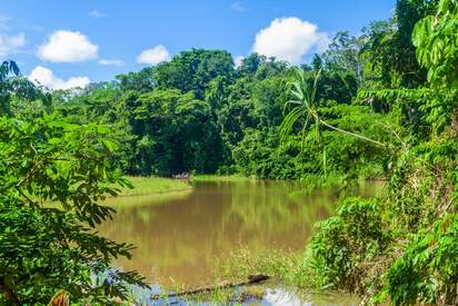 Madidi-National-Park-Bolivia - Lowest Flight Fares Madidi National Park