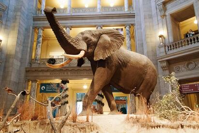 Museo de Historia Natural del Smithsonian