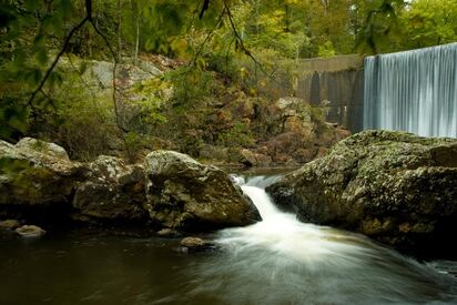 Ouachita National Forest