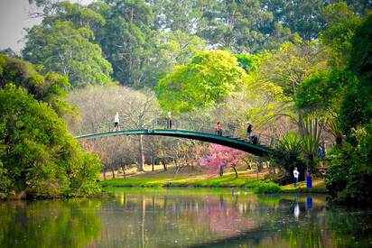 Parque Ibirapuera