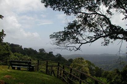 Parque Nacional Brownsberg