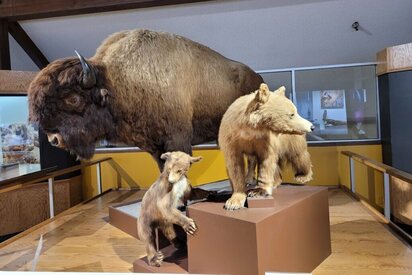 San-Bernardino-County-Museum-San-Bernardino - Lowest Flight Fares San Bernardino County Museum