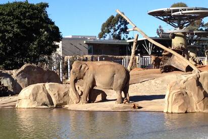 San Diego Zoo