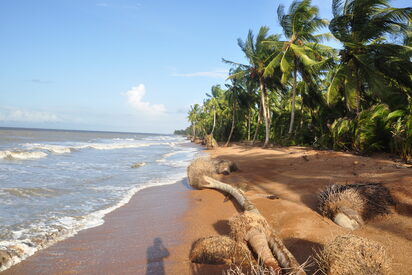 Shell-Beach-Guyana - Lowest Flight Fares Shell Beach