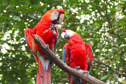 The Zoo at the Parque Histórico