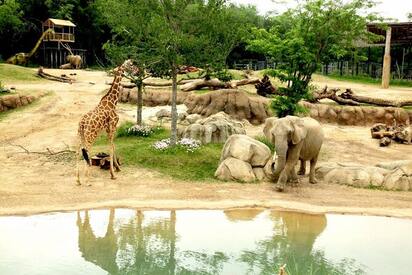 Zoológico de Dallas