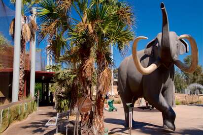 Zoológico de San Diego