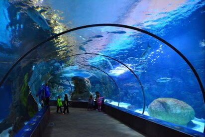 Zoológico y Acuario Henry Doorly