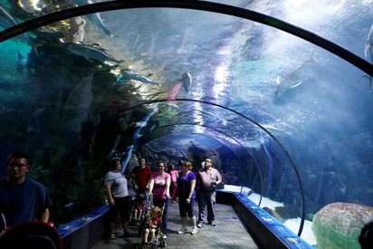 Zoológico y Acuario Henry Doorly