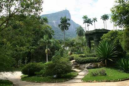 Jardín Botánico de Rio de Janeiro