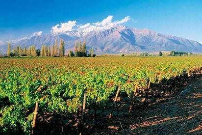 Maipo Valley