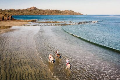 Tamarindo