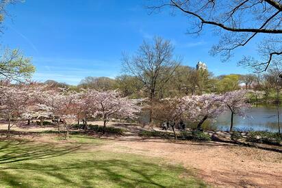 Branch Brook Park Newark