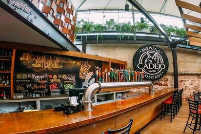 Cadejo Brewing Company Zona 10 