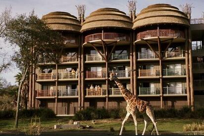 Disney's Animal Kingdom Lodge