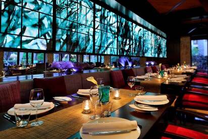 Eauzone Dubai - Lowest Flight Fares Eauzone Dubai