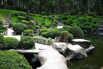 Bosque Los Colomos